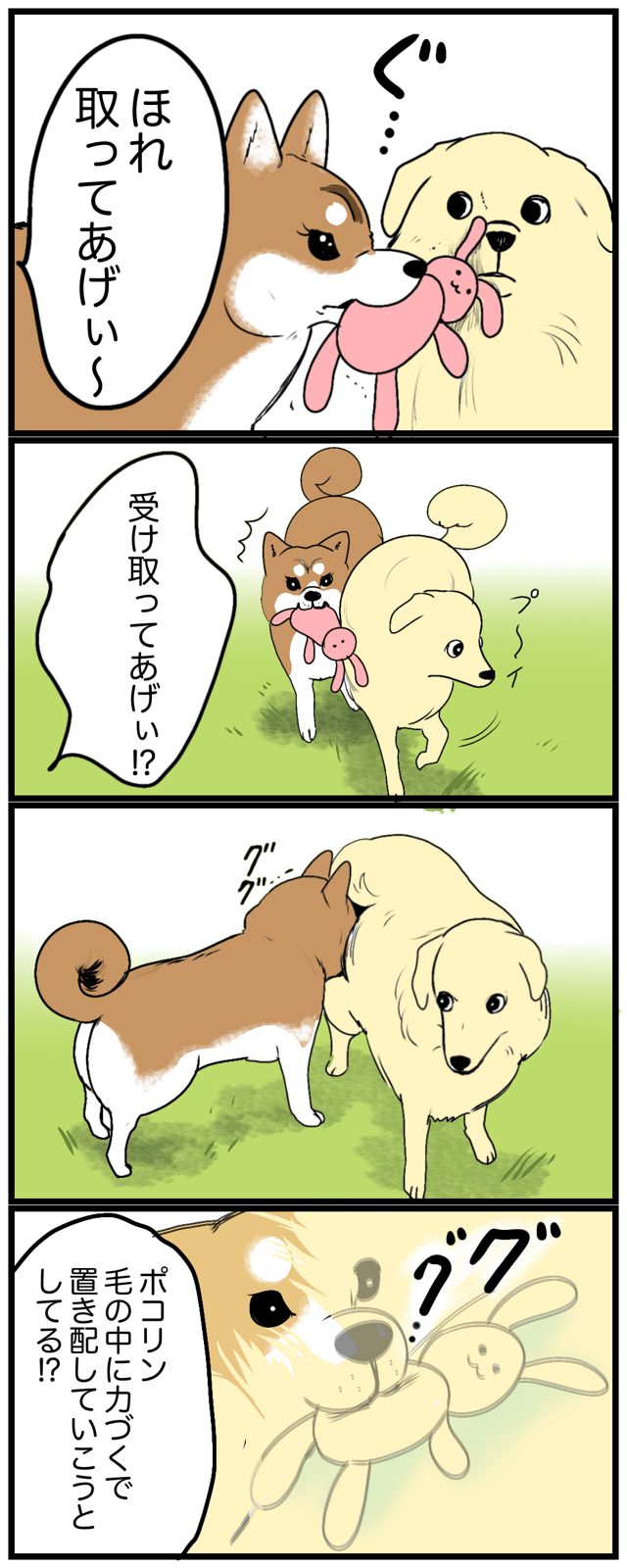 🐕諦めないフレンドリーgirl、ぽこりん🎀 : 今日もブブはからまわり ...