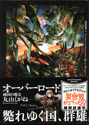 小説 オーバーロード 14巻 年3月発刊 なんとなく本とか酒とかのblog