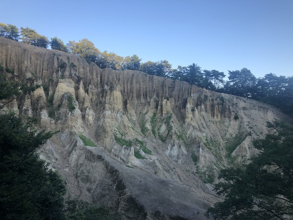 E987CA32-280C-4FF8-9FC7-96D6D35CD336