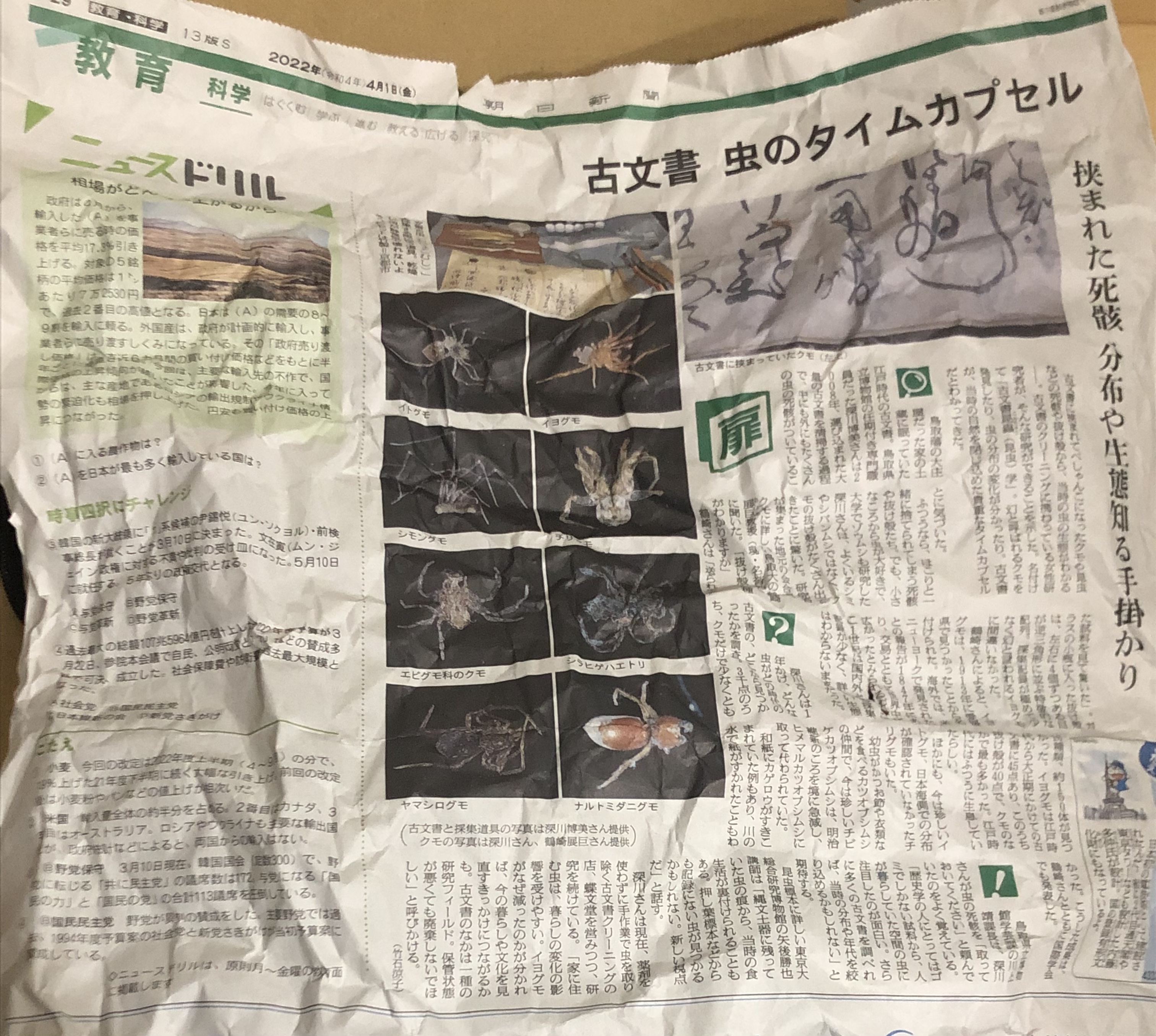 くちゃくちゃ新聞紙緩衝材 : 唐沢ジャンボリー