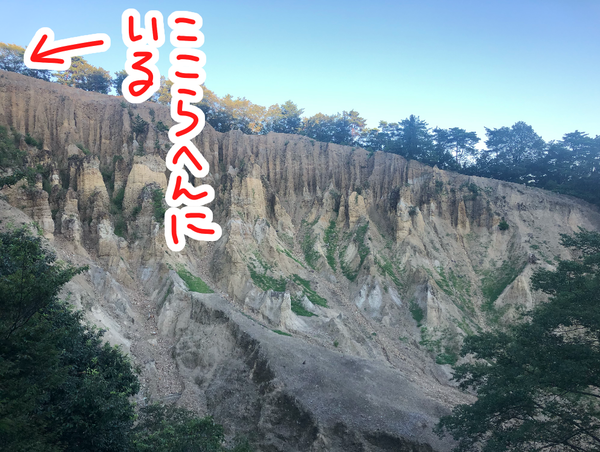 724C8953-2A25-4737-BB66-1367E3456A16