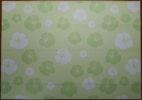 16DSC00001-3 KaBoS B6判 2013年 (2)