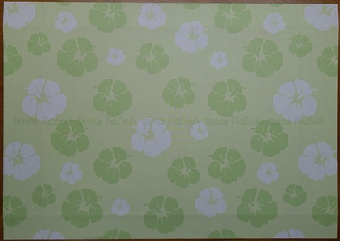 16DSC00001-2 KaBoS 新書 2013年 (2)