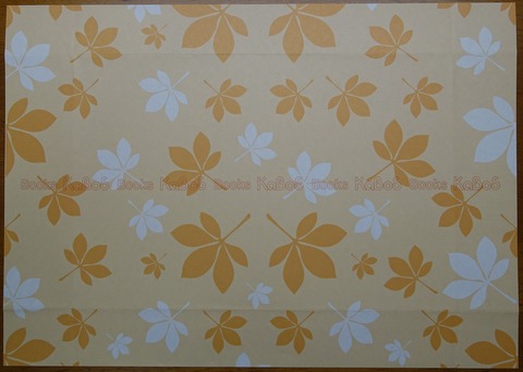 16DSC00001-1 KaBoS 文庫 2013年 (2)