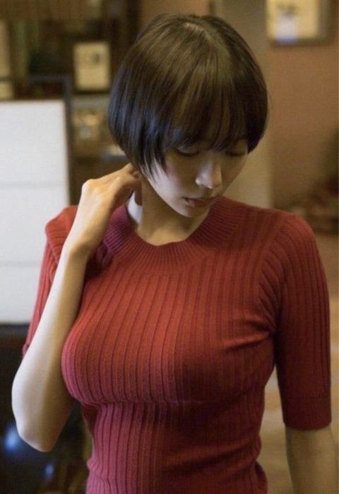 着衣巨乳画像を貼るスレｗｗｗｗｗｗｗｗｗｗｗｗ