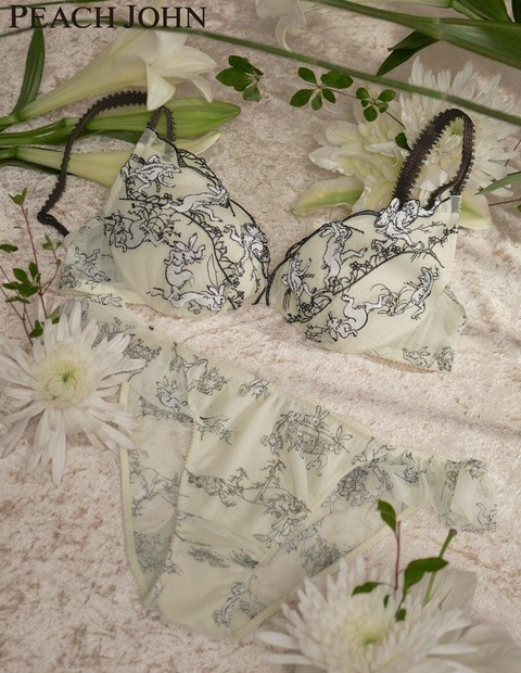 【画像】名画をブラジャーにした「巨匠のブラ」シリーズに「星月夜」「鳥獣戯画」「風神雷神図」が登場