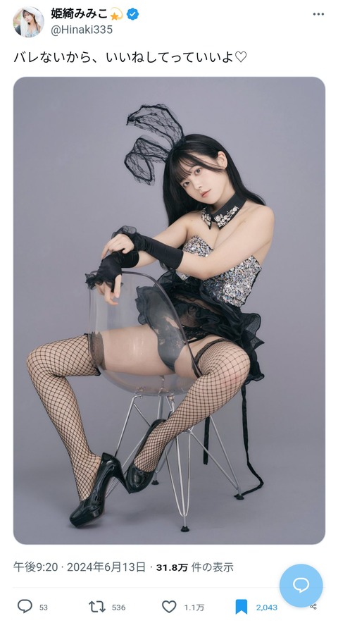 エッチなグラビアアイドルさん「バレないから、いいねしてっていいよ♡」 X民「あ、はい」