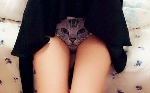 【画像】まんさん、猫ちゃんの入れ墨入れてしまう…🐯