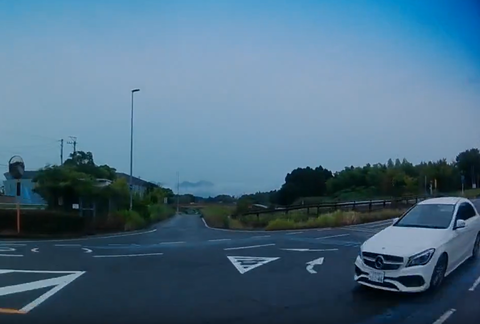 【動画】モデル女性、車を運転中に一時停止無視の車に突っ込まれ激突 全身が痣だらけに