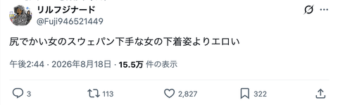 【朗報】X「尻でかい女のスウェパン下手な女の下着姿よりエロい」