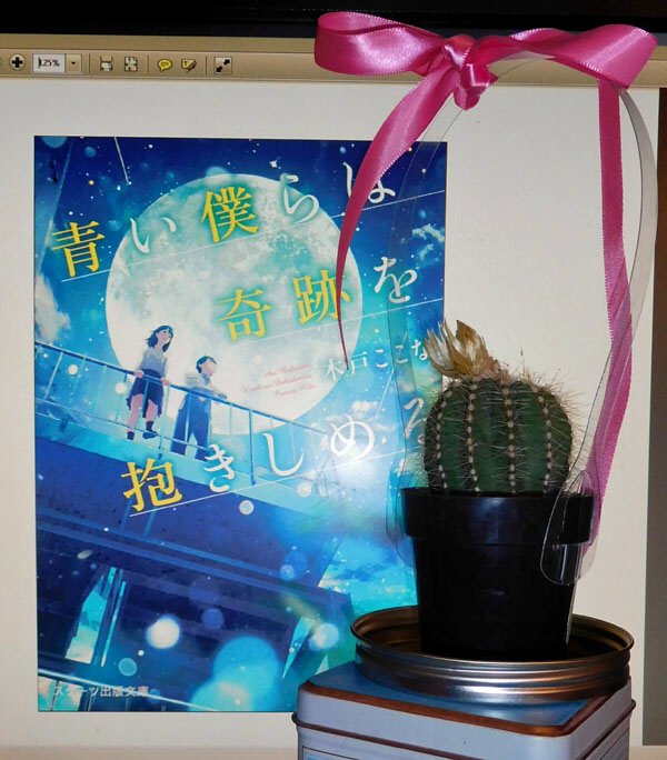 青い僕らは奇跡を抱きしめる 発売日 19年01月28日 ブックサイト