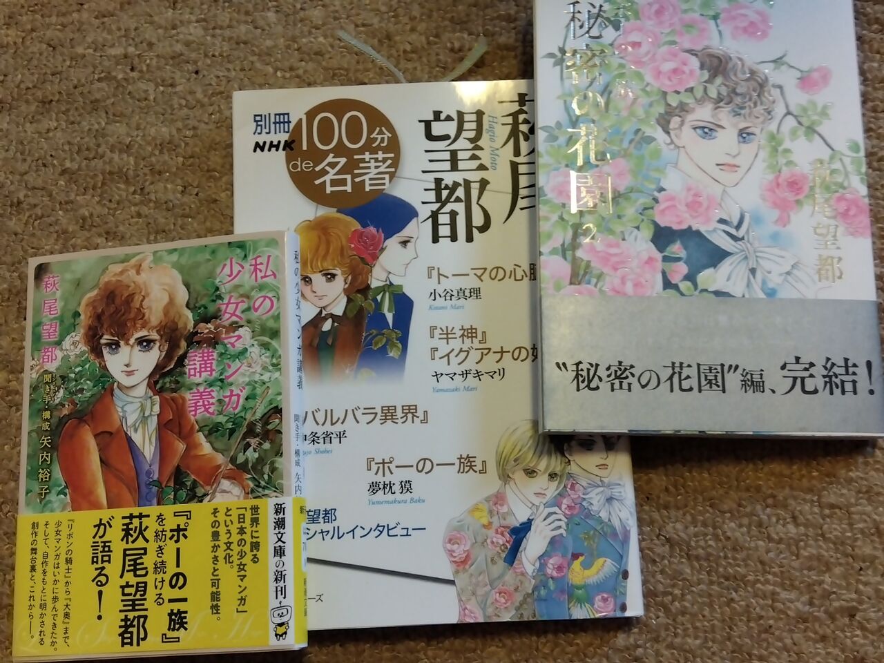 萩尾望都三昧 小鳥の巣ー第 章ー