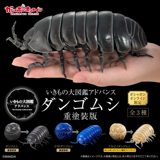 【画像】 1回1800円のダンゴムシのガチャガチャｗｗｗｗｗｗｗｗｗｗｗｗｗｗｗｗｗｗｗｗｗｗｗｗｗｗｗｗ