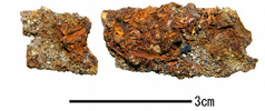 bf682a6f.jpg