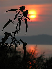 c7302bb2.jpg