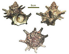 d02258a0.jpg