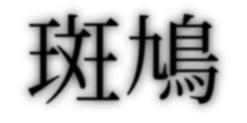 斑鳩　←何で読み方覚えた？？