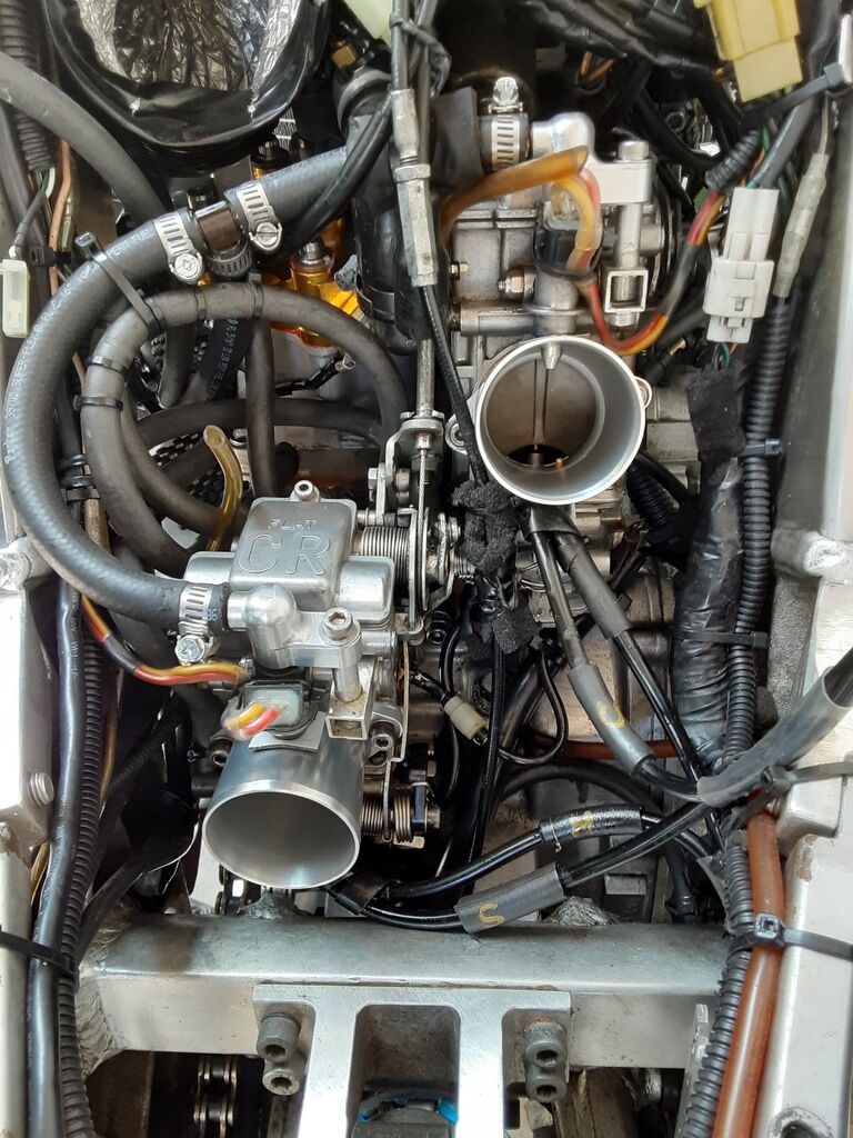 さてこちらはというと。。。 : 仙人のブログ