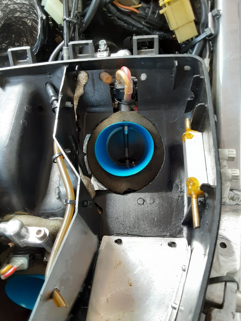 さてこちらはというと。。。 : 仙人のブログ