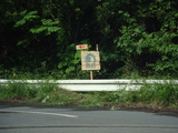 DSC00986