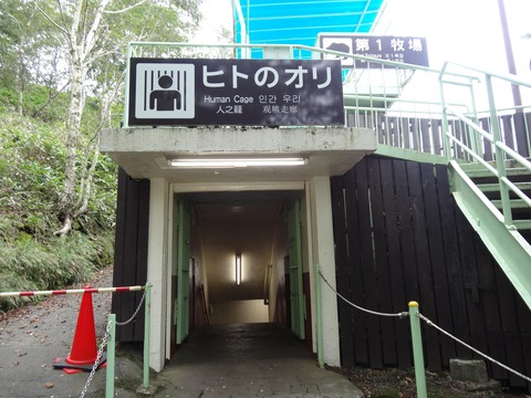 DSC01859