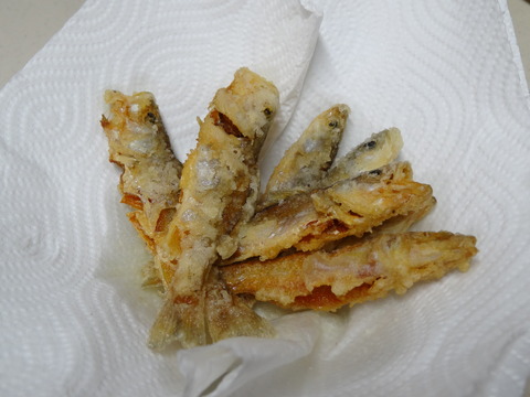 DSC00771