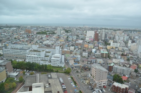 DSC_0217