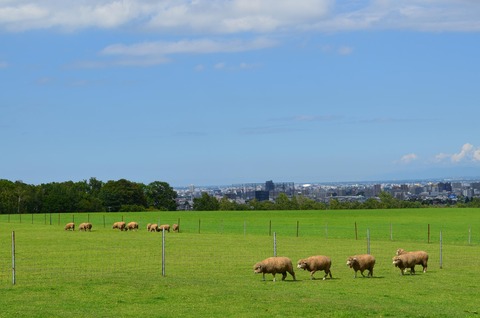 DSC_0028