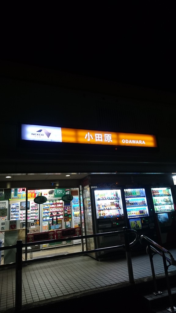 車中泊 瑞牆山 からの真鶴 イカ飯 海山ビール戦記
