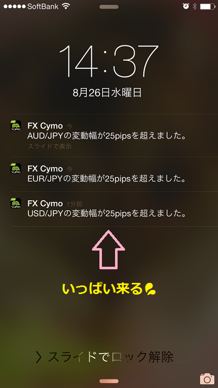 8 26 サイモ4