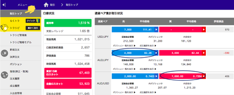 トラリピ両建て