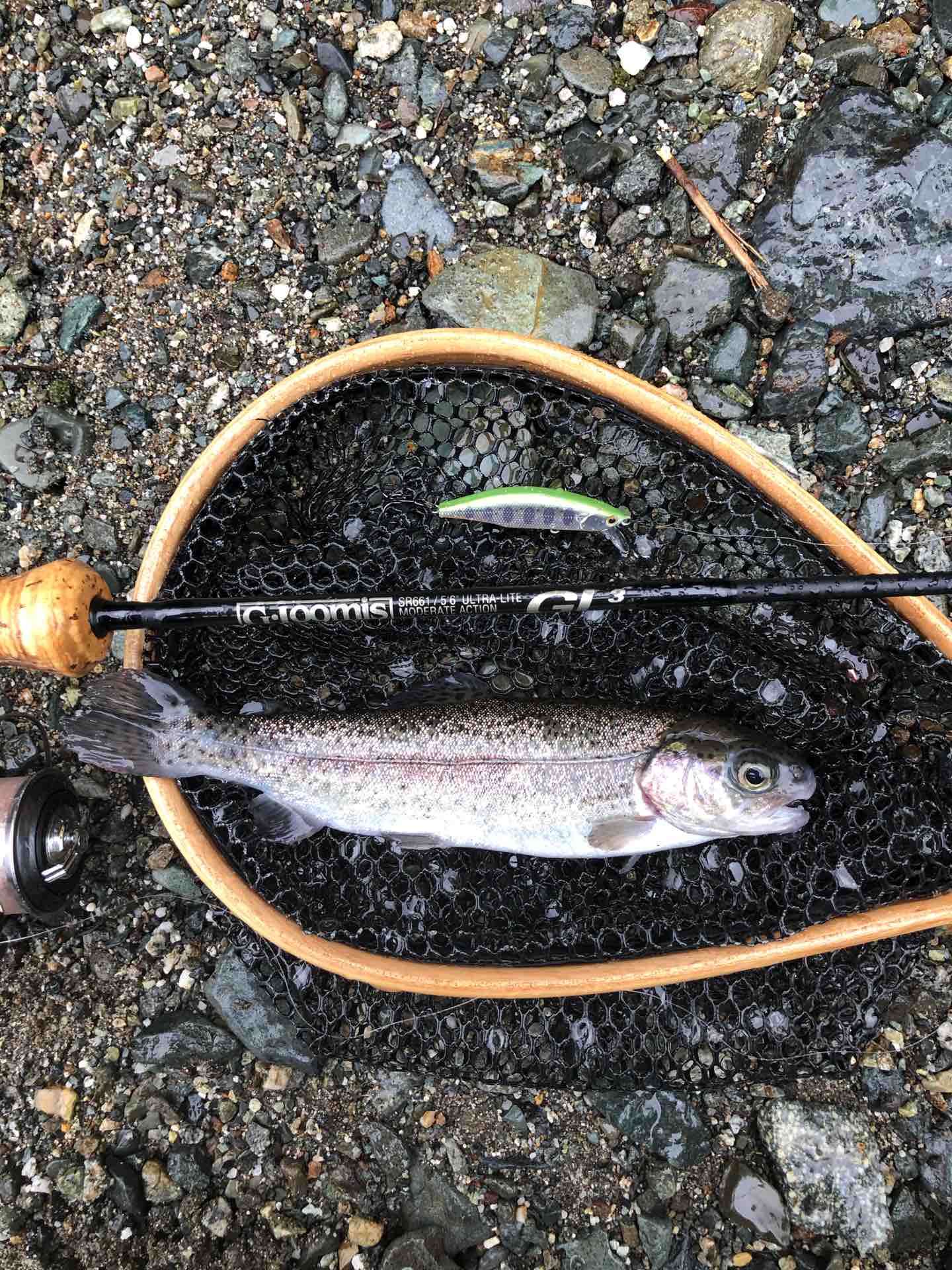 9月6日 鹿留川 桂川 渓流ルアー ボロ雑巾が行く