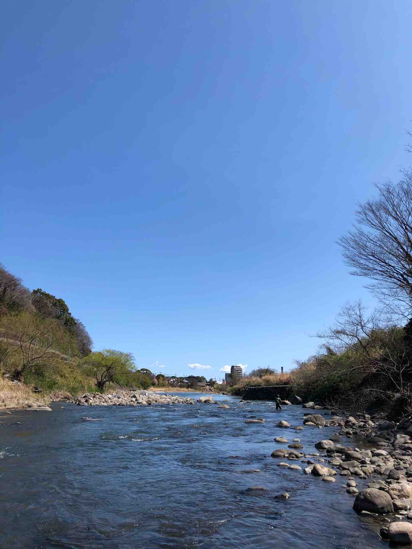 3月14日 箱根早川 渓流ルアー ボロ雑巾が行く
