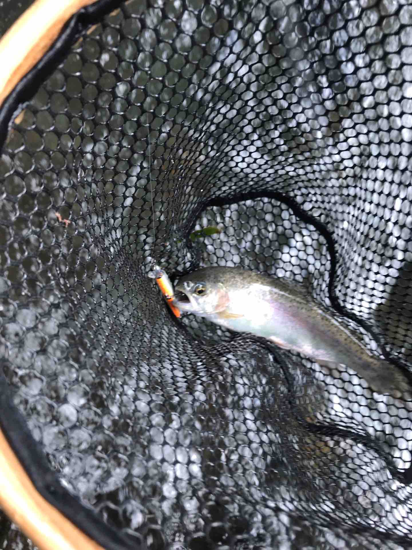 9月16日 桂川 渓流釣行 ボロ雑巾が行く