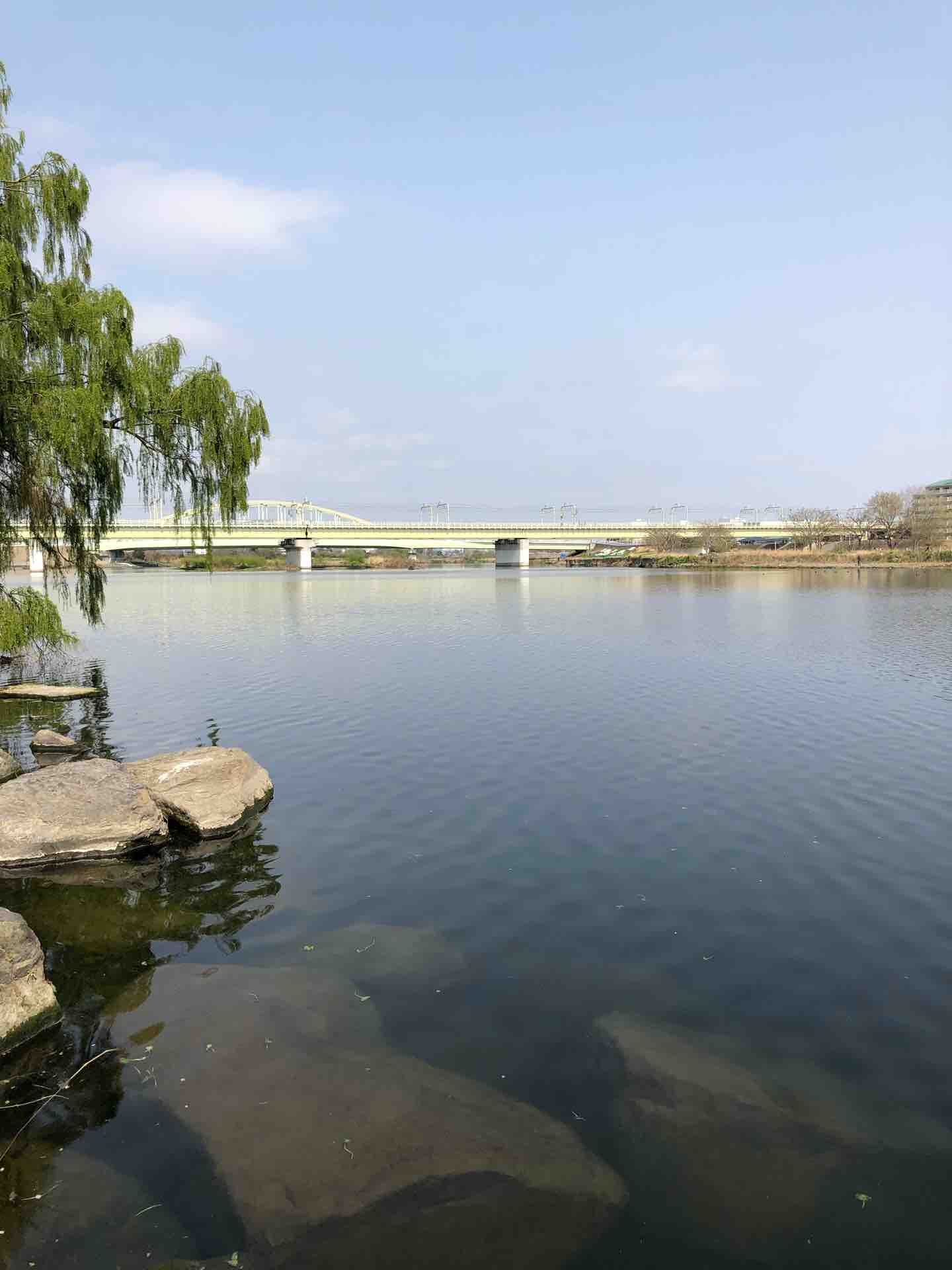4月7日 多摩川スモール ボロ雑巾が行く 4月7日 多摩川スモール ボロ雑巾が行く