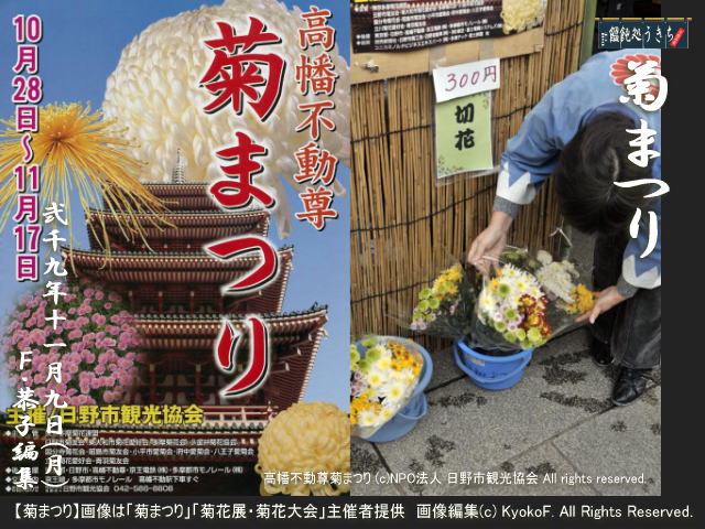 11/9(月)【菊まつり】画像は「菊まつり」「菊花展・菊花大会」主催者提供 画像編集(c) KyokoF. All Rights Reserved. @キャツピ&めん吉の【ぼろくそパパの独り言】
▼クリックで元の画像が拡大します。