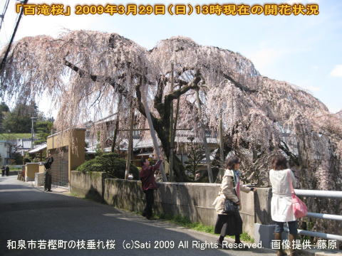 ����ɴ����������Լ��Į�λ޿����ʻ޿���������쥶����˳��־���01
���ޥ��������С��ʥ������������ξ���֤��ˤ��̤β������ؤ��ޤ���
������å��ǳ������640x480���ؤ��ޤ���