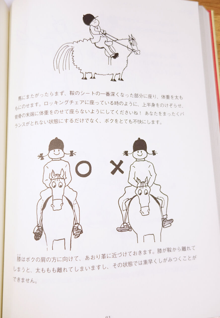 馬のためのグルーミング完全ガイド