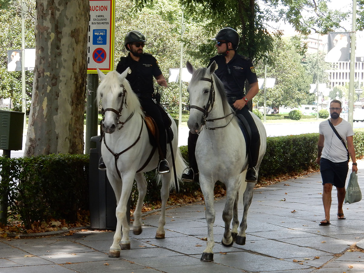 マドリッドで見た騎馬警官 馬への想い Bororidingshopスタッフのブログ