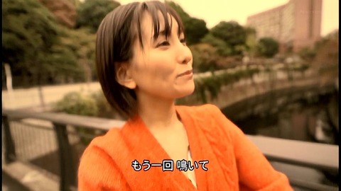 PDVD_009