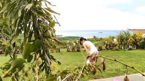 PDVD_112