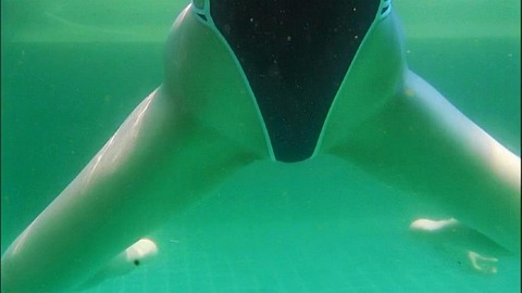 PDVD_102