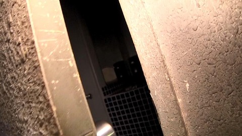 PDVD_321