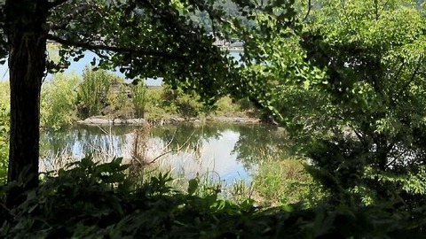 PDVD_1214