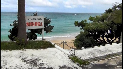 PDVD_339