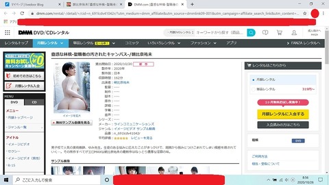 スクリーンショット (28)