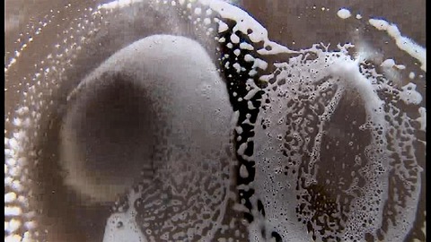 PDVD_545