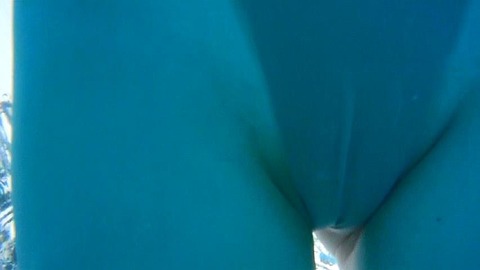 PDVD_540