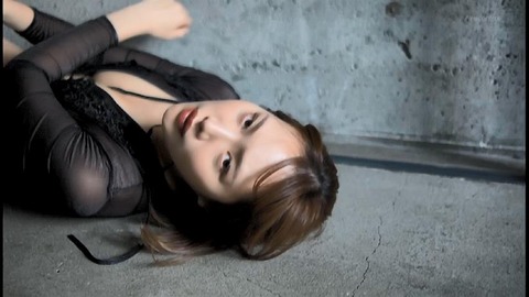 PDVD_769