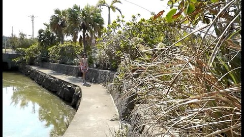 PDVD_727